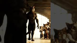 #CatKing #EpicCat #Respect #RoyalCat #FantasyVideo #EpicAnimals #CatVideo #ai #armycat