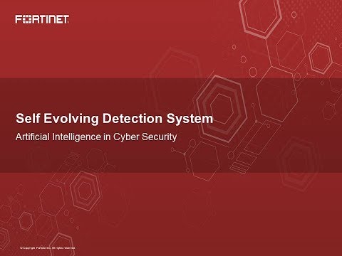 Self Evolving Detection System