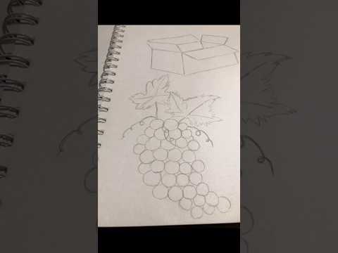 Sketsa Buah anggur #gambar #art #sketsadenah #buah #sketch #sketsa #fyp #shorts #shortvideo