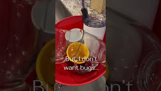 Not washing dishes tonight!      #nobug #dishes #cleaning