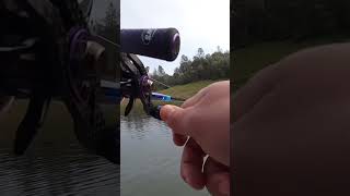 Folsom Lake Jig fish!!!