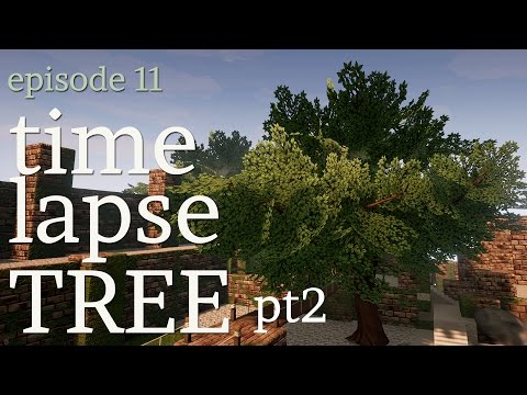 The Creation of a Tree pt.2 [TIME LAPSE] BLENDER | UE4