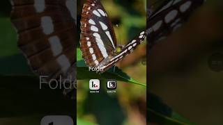 Kuku TV Free Me Kaise Dekhe | Kuku Tv Free Trial Kaise Le | Kuku Tv App Ko Free Me Kaise Chalaye