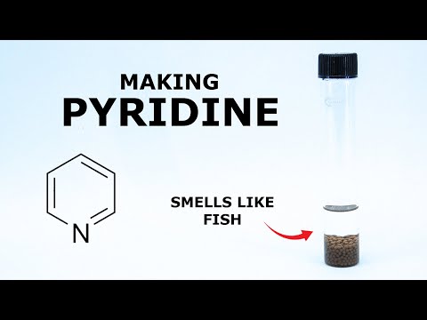 Making the Essence of Fish from Vitamin B3 - Pyridine