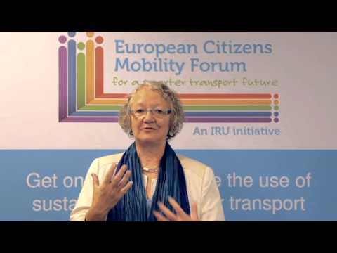 Gesine Meissner, European Parliament