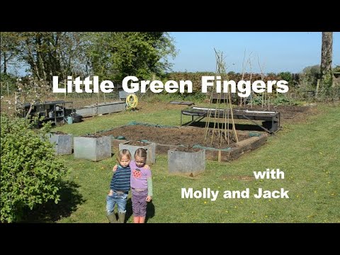 Little Green Fingers - Our garden so far this year