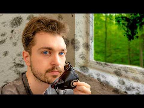 Mold toxicity nearly ruined my life