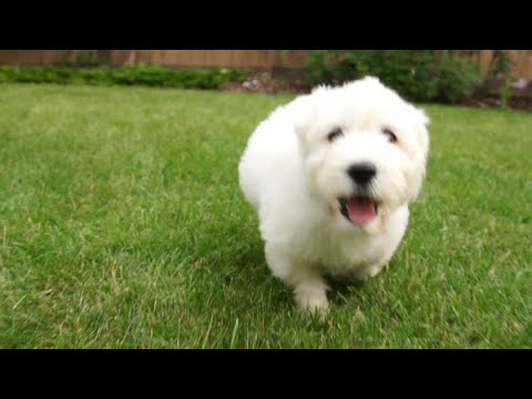 Feeling stressed? Go outside and play with abandon!