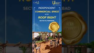BOOK UNIVERSAL SCO AURIC SCO79 GREATER FARIDABAD 9310222216