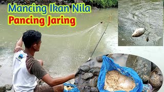 mancing jaring ikan nila|| #mancing  #ikannila #pancing