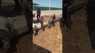 Soil compact method #shorts  #construction #site  #building #engineering #excavator #concrete #truck