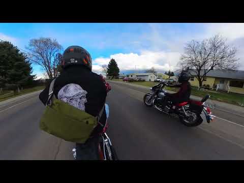 Weekend Burrito Run on The Sportster And Shadow