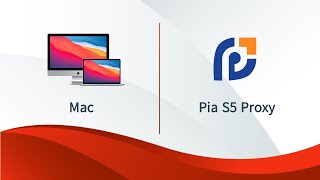 [Piaproxy Tutorial] How does the Mac version query its own intranet IP address?