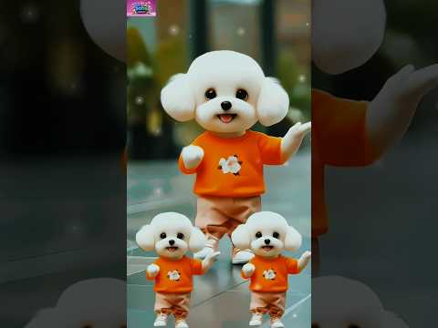 Dancing small dog 😍🤩 #viralshorts #shorts