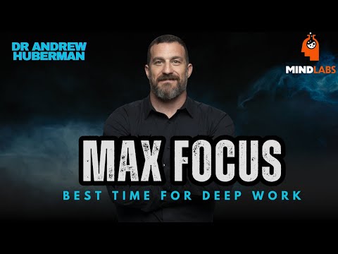 Unlock Peak Focus: The Ideal Time for Deep Work | Dr. Andrew Huberman | Mind Lab