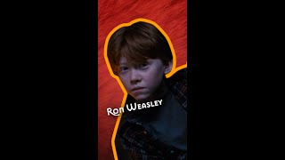 Meet the Gryffindors #HarryPotter #Gryffindor