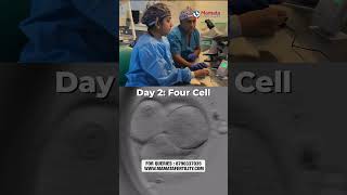 From Cell to Blastocyst: Embryo Development in Just 15 Seconds! | Mamata Fertility Hospital