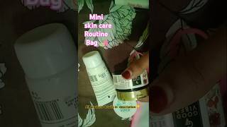 Mini skin care bag . Skin care routine 🙄#skincare #daliyroutine #skincareroutine