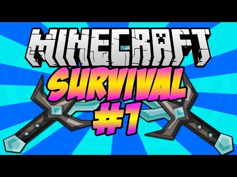 Minecraft Survival PS3 with striker3248 #1 "LETS START!"