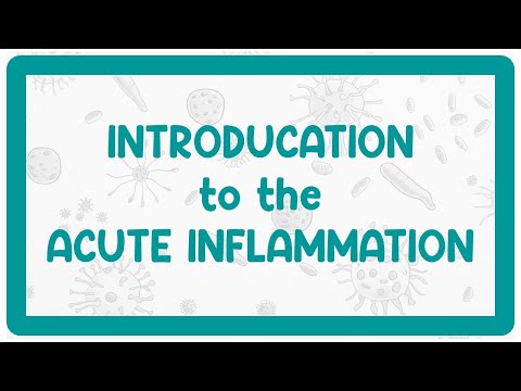 Acute Inflammation Explained | Part 1: Introduction, Signs & Vascular Events