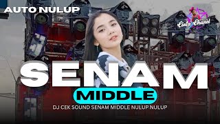 DJ SENAM MIDDLE NULUP TERBARU - TJAP BEDHIL NROTOK COCOK BUAT CEK SOUND