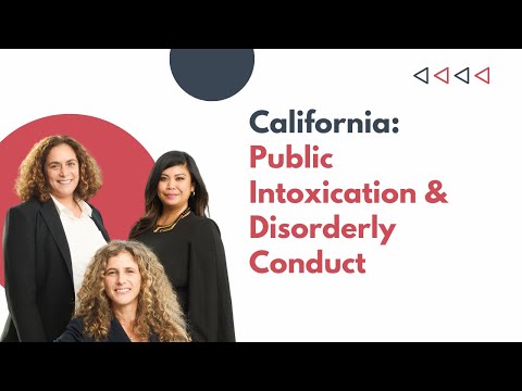 Criminal defense attorney Givelle Lamano discusses Public Intoxication & Disorderly Conduct