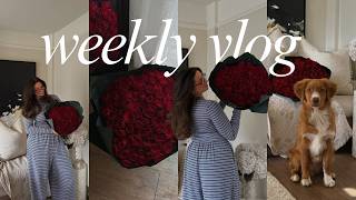 Weekly Vlog | spending valentine's alone this year, holiday prep appointments & a big haul