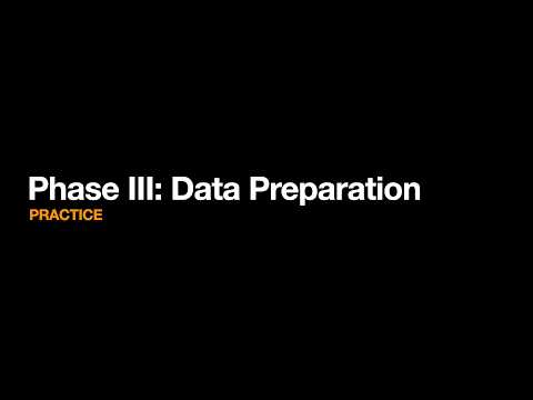 Phase III  Data Preparation | PRACTICE