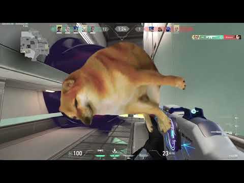 Sova 4k ft Doggos #Shorts