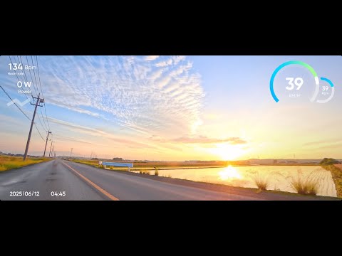#朝チャリ 田んぼの水面に朝日が映る #roadbike #cycling #morning #earlysummer #ロードバイク #サイクリング #朝 #初夏 #美里町  #insta360x5