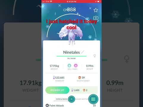 I hatched a shiny alolan vulpix today