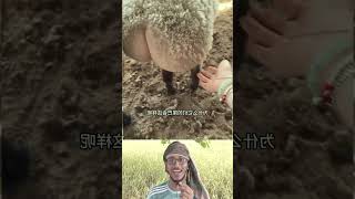 Top Learning Tools for Tech 🔥 Enthusiasts | Smart Gadgets & Creative Learning #shorts #viralshorts🔥🙏