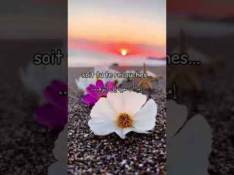 #تحفيزي  تعلم اللغة الفرنسية للمبتدئين