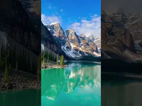 Can I go with you 😍 #viral #trending #octopusgear #outdoors