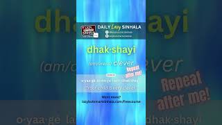 Clever in Sinhala | Daily Lazy Sinhala | Learn Sinhala | Lazy But Smart Sinhala #learnsinhala