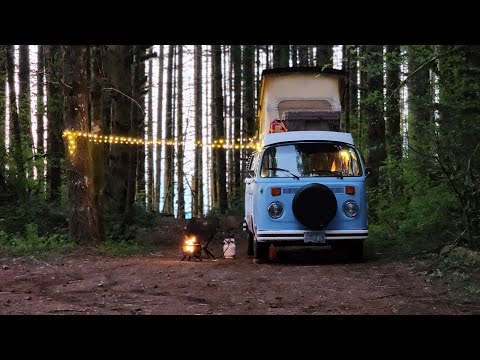relaxing campfire in the woods with a vintage vw bus