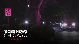 2 men shot, wounded in Evanston, Illinois