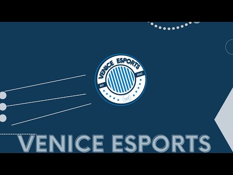 Will You Reach 50 Subs in 24 Hours with Venice eSports?