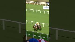 DRF treble for Danny Mullins #horse #horseracing #racingtv #sport #britishhorseracing