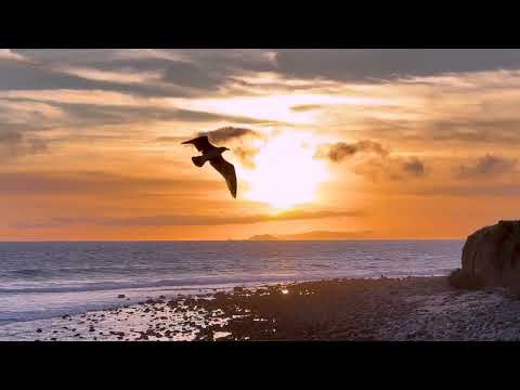 Meditation Relaxation Video  - "In Fields of Peace" Liquid Mind