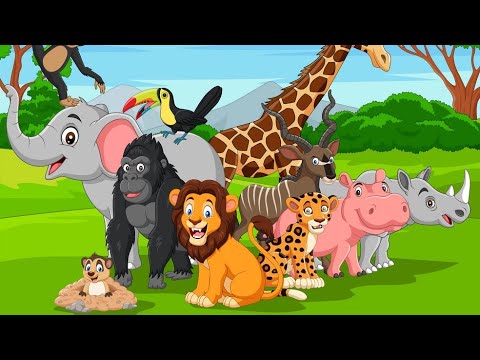 खरगोश और उसके दोस्तों की कहानी, The Rabbit And His Friends Story In Hindi...