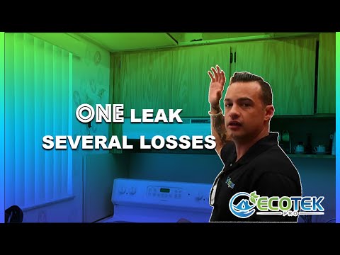 Water Damaged Apartment Unit Causes Massive Mold Growth | Mold Remediation