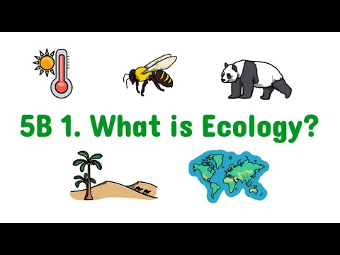 5B 1. What is Ecology? | Edexcel IAL Biology | Unit 4
