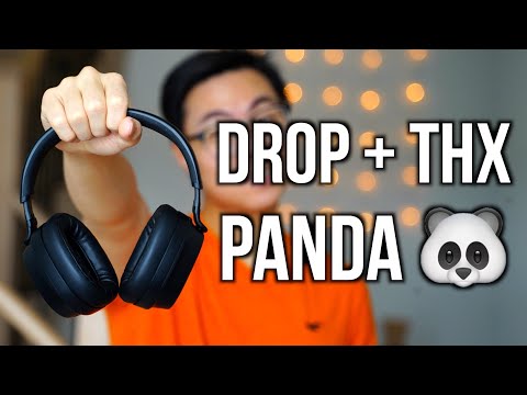 Are These the BEST Sounding Bluetooth Headphones? | Drop THX Panda Honest Review