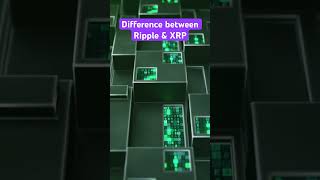 Difference between Ripple and XRP #xrp #ripplexrp #fintechlife