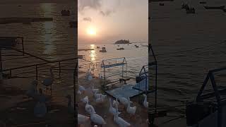 शाम   #trending #dharm #adventure #eveningroutine #eco #ecoadventures #ecofriendly #ecotourism