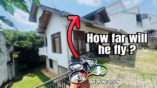 How Far Can I Fly This Tiny Drone !