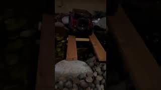 Another Bronco adventure #shorts #subscribe #suggested #viral #algorithm #like #traxxas #bronco