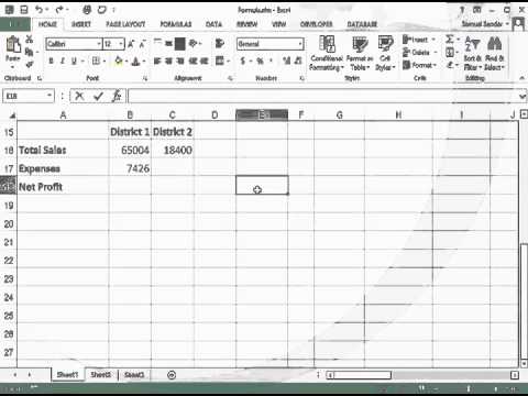 Formula Basic in Excel 2013