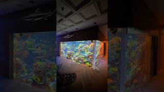 17,000 Gallon Reef Tank 🪸🐠